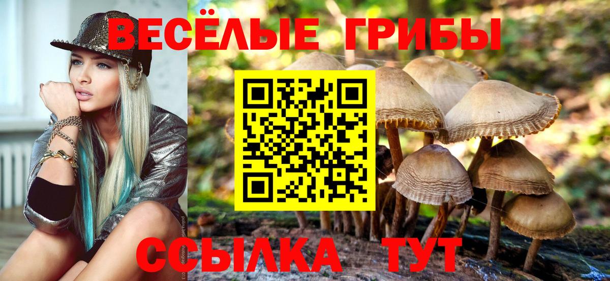 Псилоцибиновые грибы ЛСД Златоуст
