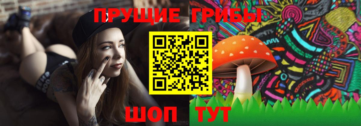 Галлюциногенные грибы Psilocybe  Вход с VPN  Златоуст 